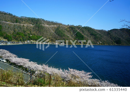 Okubiwako Park Way櫻花滋賀 61335440