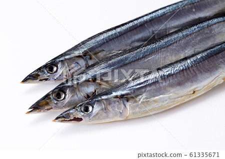 整個秋刀魚(幹) 整個秋刀魚(幹) 61335671