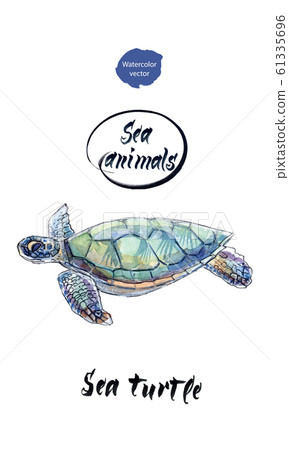 Sea turtle sweems, hand drawn watercolor illustration Sea turtle sweems, hand drawn watercolor illustration 61335696