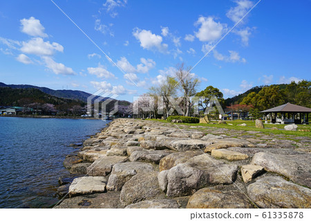湖濱綠蔭櫻浦櫻大賀花園 湖濱綠蔭櫻浦櫻大賀花園 61335878