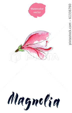 Wildflower magnolia flower in a watercolor style, aquarelle wild flower for background, texture, wrapper pattern, frame or border 61336760