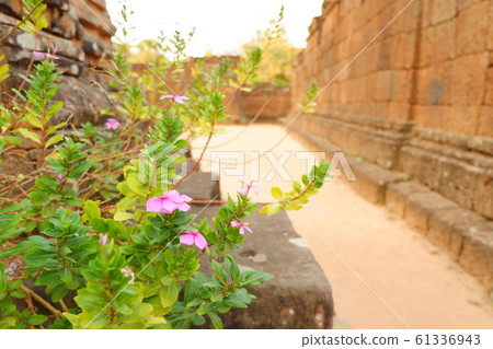  Prelupe Ruins Angkor Wat Ruins Sunset Siem Reap World Heritage Cambodia Tourist Destinations Overseas Travel 61336943