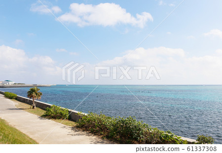 Minaminuhama-cho Ryokuchi Park Okinawa Ishigaki Minaminuhama-cho Ryokuchi Park Okinawa Ishigaki 61337308