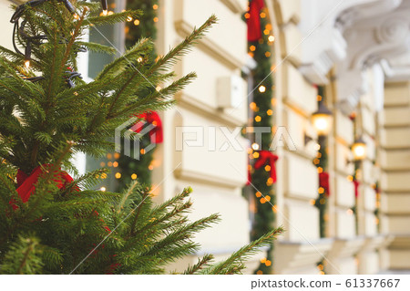 Christmas-tree branches with lights and window Christmas-tree branches with lights and window 61337667