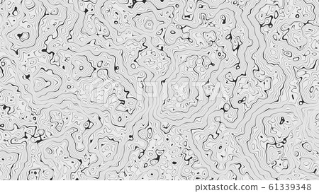 Texture that looks like a topographical map 61339348