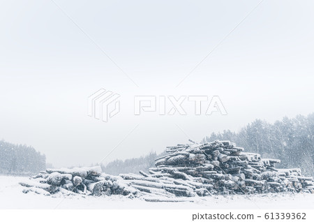 Large stack of timber logs covered with snow. Large stack of timber logs covered with snow. 61339362