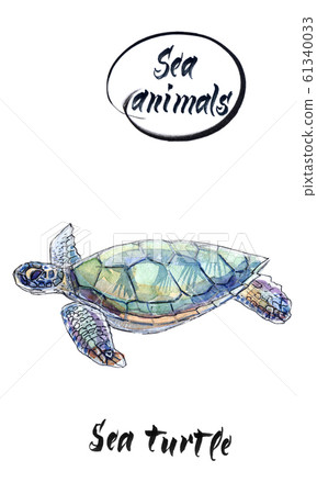 Sea turtle sweems, hand drawn watercolor illustration 61340033