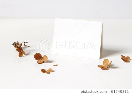 Winter, fall wedding, birthday table composition. Stationery mockup of place card. Dry hydrangea flowers and petals on white table background. Feminine desktop scene. Styled stock photo. Winter, fall wedding, birthday table composition. Stationery mockup of place card. Dry hydrangea flowers and petals on white table background. Feminine desktop scene. Styled stock photo. 61340811