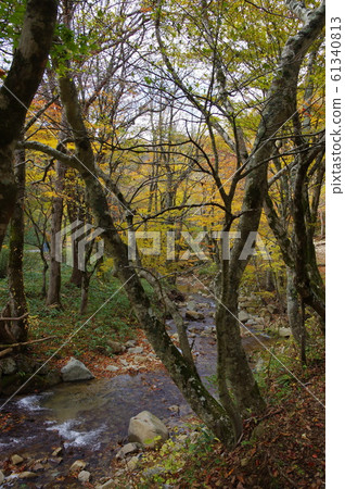 The murmuring highway early autumn 61340813