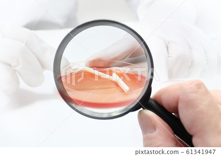 研究形象 61341947