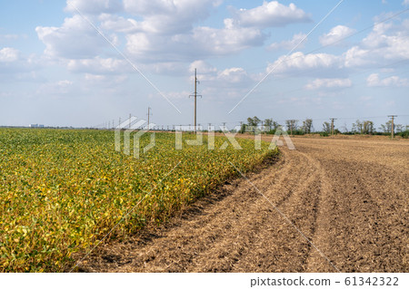 Irrigation System Watering Crops on Farm Field. Irrigation System Watering Crops on Farm Field. 61342322