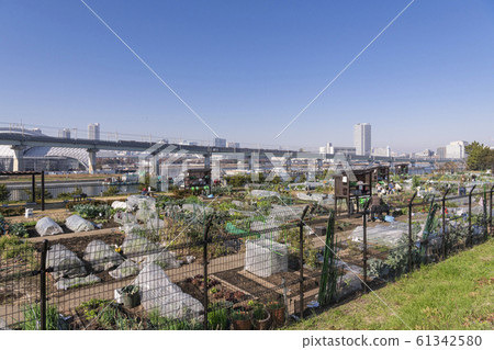 東京江東區夢之島病房農場的城市景觀 東京江東區夢之島病房農場的城市景觀 61342580