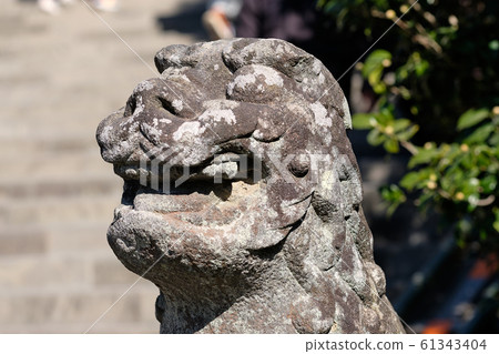 Kamakura Hachiman Shrine Koma Inu 61343404