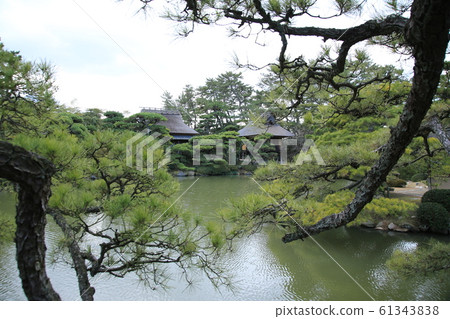 中津萬園 中津萬園 61343838