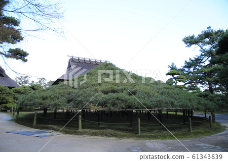 中津萬園 61343839