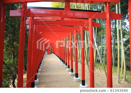 中津萬園 中津萬園 61343840