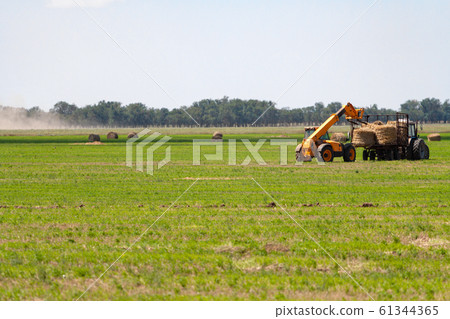 Tractor loading hay bales on truck agricultural works 61344365