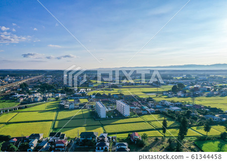 田園風光和那須鹽原周邊，秋天的田園風光，清晨的田園風光，無人機射擊， 61344458