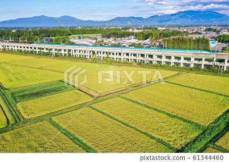 田園風光和東北新幹線，東北秋天的本線，清晨，晴天，無人機射擊， 61344460