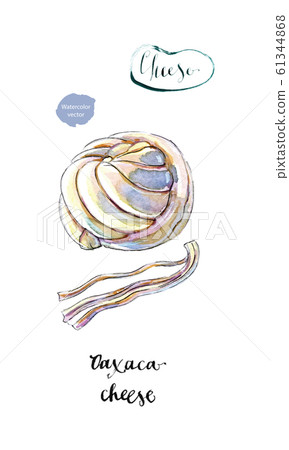 Piece of Mexican Oaxaca cheese in watercolor 61344868