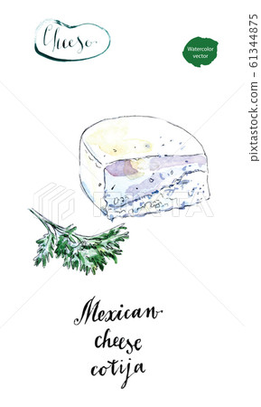 Piece of Mexican cotija cheese with cilantro in watercolor Piece of Mexican cotija cheese with cilantro in watercolor 61344875