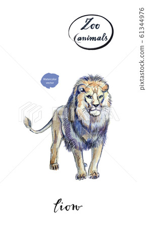 Portrait of big mighty lion staying in watercolor 61344976