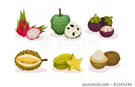 Ripe Tropical Exotic Fruits Whole and Half Cut Vector Set Ripe Tropical Exotic Fruits Whole and Half Cut Vector Set 61345246