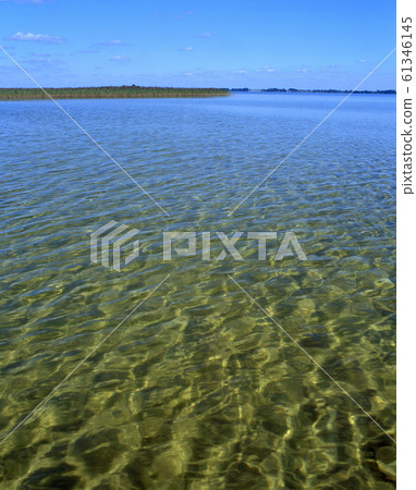 Svitiaz lake - one of Shatsk's lakes 61346145