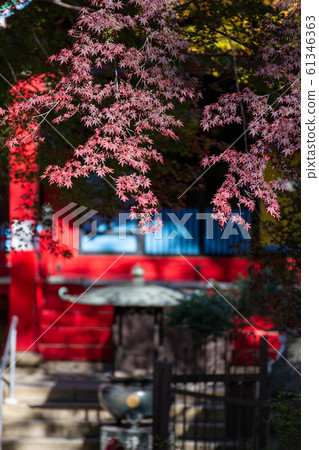 Autumn leaves and Benzaiten 61346363