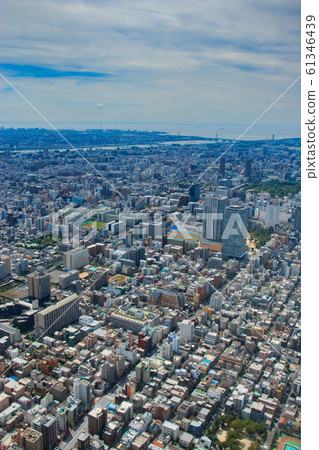 從東京Skytree景觀 從東京Skytree景觀 61346439