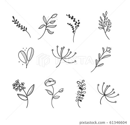 Botanical logo outline drawing vecctor in set 61346604