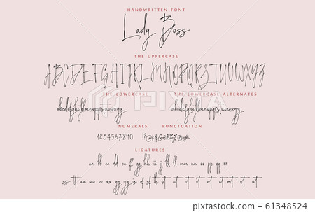 Handwritten script font vector alphabet Lady Boss set Handwritten script font vector alphabet Lady Boss set 61348524