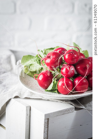 Summer harvested red radish. 61349070