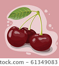 Vector illustration of few red cherry berries 61349083