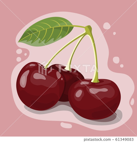 Vector illustration of few red cherry berries 61349083
