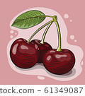 Vector illustration of red cherry berries engraved 61349087