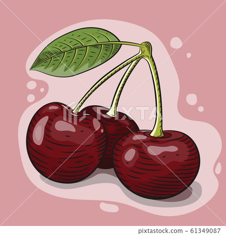 Vector illustration of red cherry berries engraved Vector illustration of red cherry berries engraved 61349087