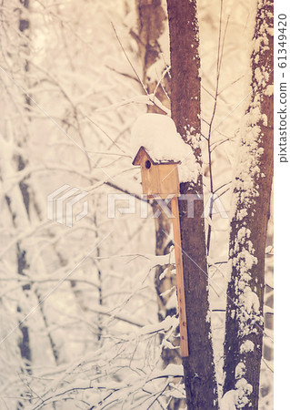 Birdhouse or nesting box 61349420