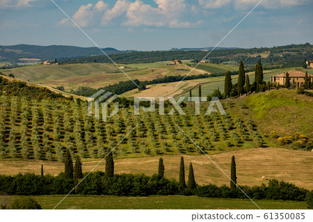 Tuscany - Landscape panorama, hills and meadow, Tuscany - Landscape panorama, hills and meadow, 61350085