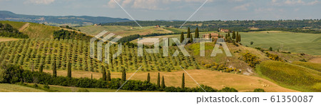 Tuscany - Landscape panorama, hills and meadow, Tuscany - Landscape panorama, hills and meadow, 61350087