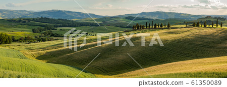 Tuscany - Landscape panorama, hills and meadow, Tuscany - Landscape panorama, hills and meadow, 61350089