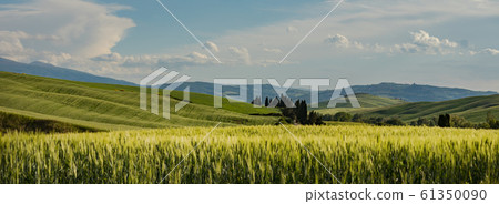 Tuscany - Landscape panorama, hills and meadow, Tuscany - Landscape panorama, hills and meadow, 61350090