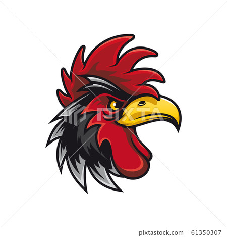 Bird with cockscomb isolated black rooster 61350307