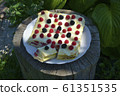 Gourmet homemade raspberry 61351535