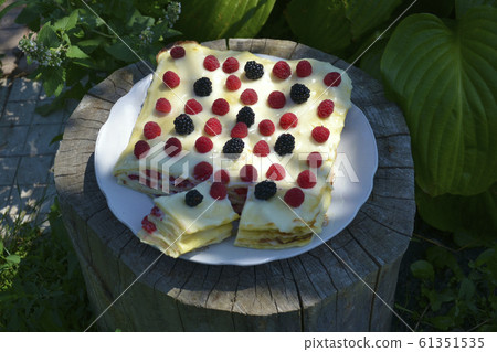 Gourmet homemade raspberry Gourmet homemade raspberry 61351535