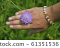 female hands with flower l 61351536