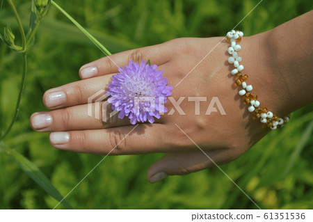 female hands with flower l female hands with flower l 61351536