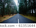 持續的道路 61351644