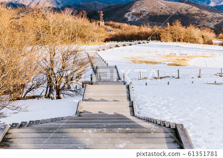 雪和樓梯 61351781