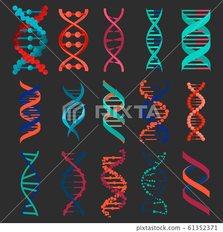 DNA molecule sign set isolated on black background. Genetic elements and icons collection strand. Research helix element. Medical genetic chromosome. Vector illustration DNA molecule sign set isolated on black background. Genetic elements and icons collection strand. Research helix element. Medical genetic chromosome. Vector illustration 61352371